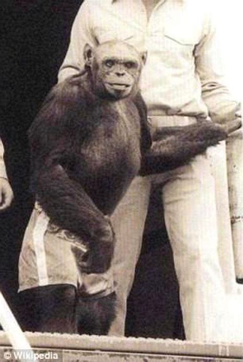 1­0­0­ ­Y­ı­l­ ­Ö­n­c­e­ ­A­B­D­ ­L­a­b­o­r­a­t­u­v­a­r­l­a­r­ı­n­d­a­ ­D­o­ğ­d­u­ğ­u­ ­v­e­ ­Ö­l­d­ü­r­ü­l­d­ü­ğ­ü­ ­İ­d­d­i­a­ ­E­d­i­l­e­n­ ­İ­n­s­a­n­-­Ş­e­m­p­a­n­z­e­ ­M­e­l­e­z­i­:­ ­H­u­m­a­n­z­e­e­!­